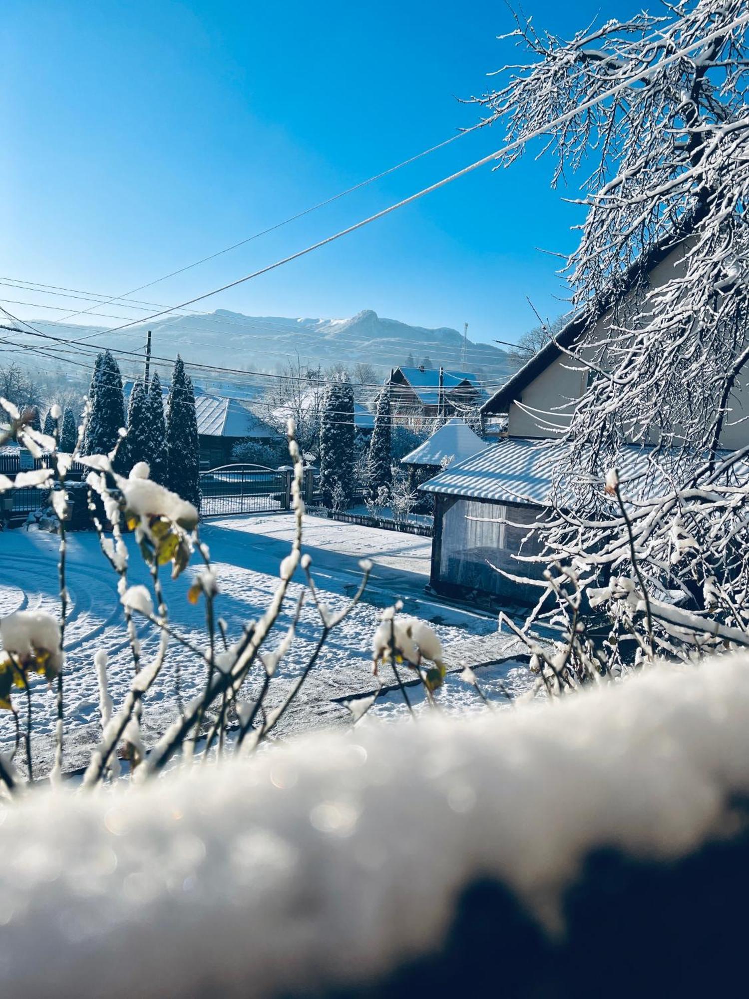 Pensiunea Irina Maramures Deseşti エクステリア 写真